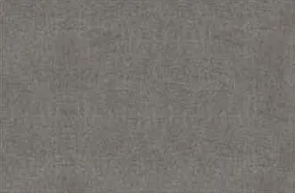 19009 D