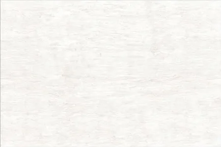 7559 L